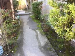If your grass turns dull green, or blue, you may need to water a lawn more often. East Bay Municipal Utility District Save Water Outdoors