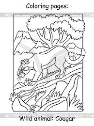 The child could see this amazing predator in the picture in the book, in the cartoon, or even live in the zoo. Children Coloring Book Page Cougar Vector Image