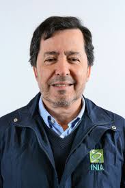 Lupino dulce: una eficaz alternativa de sustitución en dietas para  salmónidos