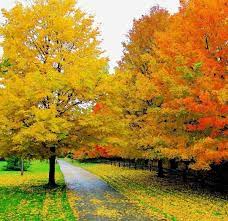Pictures by angelsimon 2 / 189 peaceful river flowing over rocks pictures by backyardproduct 14 / 1,158 child sleeping in nature stock image by tobkatrina 7 / 598 rustic scene showing the beauty of nature stock image by mandygodbehear 9 / 454 peaceful background pictures by ig0rzh 13 / 283 warm cold winter sunset picture by siilur 52 / 2,208. Peaceful Nature Home Facebook
