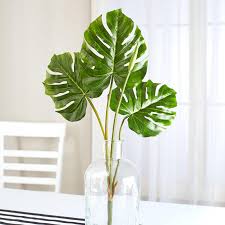 As of september 2015, the world checklist of selected plant families accepted 489 species; 1 Pcs Faux Tropical Plants Artificial Philodendron Leave Spray Fake Philodendron Stems 24 Tall For Vase Bouquet Flower Arrangement Centerpiece Summer Wedding Party Indoor Outdoor Greens Decor Home Kitchen Artificial Shrubs
