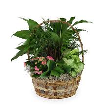 Eva Sublette Obituary