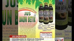 Pucuk betik atau daun muda selalunya direbus dan dijadikan ulam. Jus Daun Betik Kegunaan Sebagai Penawar Demam Denggi Dikaji 31 Jan 2016 Youtube