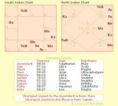 what does my vedic chart say about my career over the next