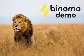 Learn more about amazon prime. Pelajaran Berharga Untuk Dipelajari Dari Lions Demo Binomo