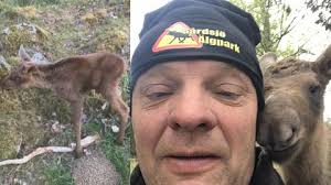 Sötchock i älgparken