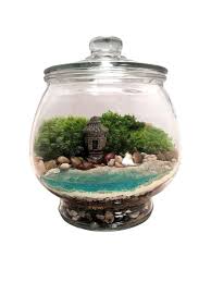 A Beautiful Apothecary Jar Depicts A Serene Mossy Landscape Complete With River Rocks A Small Stone Cottage With Terrarium Containers Terrarium Moss Terrarium