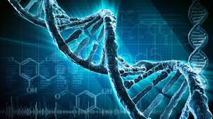 Biometricheskie Dannye Chto Eto Takoe Sbor Personalnyh Biometricheskih Dannyh Bankami Bankstoday