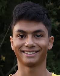 Central Ohio high school boys cross country runners to watch in 2024