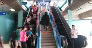 From wikimedia commons, the free media repository. Batman Spotted At Pasar Seni Lrt Station Malaysians Love It