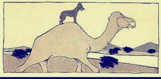 Once there lived a jackal in a jungle present on the bank of a river. The Jackal And The Camel Tellmeastorymom