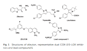 Image result for Zileuton