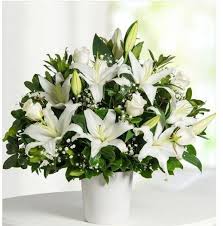 Kar Beyaz Guzelyali Cicek Siparisi Guzelyali Cicekci Guzelyali Cicek Gonder Tikla Hemen Adrese Gonder Pendik Cicekci Com Arreglos Florales Flores Lirios