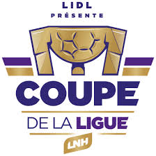 L'envahissement du terrain juste après les tirs aux buts. Coupe De La Ligue Francaise Masculine De Handball Wikipedia