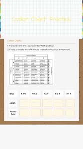 Transcription occurs in the nucleus. Codon Chart Practice Interactive Worksheet By Samantha Finning Wizer Me