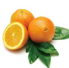 May to august in riverside. Navel Orange Trees For Sale Fastgrowingtrees Com
