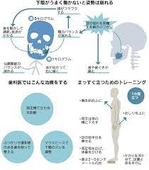 良い姿勢 カギは下顎 適切な揺れでバランス ヘルスｕｐ nikkei style 良い姿勢 肩 トレーニング ライフハッカー