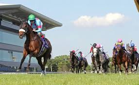 The yasuda kinen is a japanese international grade i thoroughbred horse race held at the tokyo racecourse in tokyo. Https Xn 6jwp9bq1vcjvlek Com E5 Ae 89 E7 94 B0 E8 A8 98 E5 Bf B52020 E3 83 87 E3 83 Bc E3 82 Bf E5 88 86 E6 9e 90 Ef Bc 81 E5 A4 A7 E7 A9 B4 E9 A6 Ac E3 82 92 E6 8e A2 E3 81 9b Ef Bc 9f