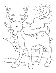 These free, printable summer coloring pages are a great activity the kids can do this summer when it. Drawing Deer 2651 Animals Printable Coloring Pages