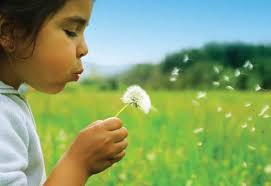 Assistive Technology Resources for Children and Adults with Disabilities