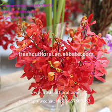 Bringing out the diy in all of us with more than 70,000 arts, crafts, custom framing, floral, home décor, jewelry making, scrapbooking, fabrics, party supplies…. Best Wholesale To Buy Fresh Cut Orchids And Fresh Flowers For Home Decorations Buy Orchids Flower Wholesale Fresh Cut Orchid Flowers Fresh Cut Roses Flowers Product On Alibaba Com