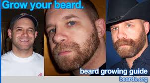 How To Grow A Beard All About Beards