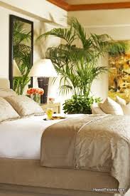 Tropical Bedroom Simple Mostly Neutrals Since You Were Married In Hawaii And Love To Travel To Trop Tropical Theme Bedroom Tropical Bedrooms Bedroom Design