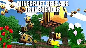 Here are 12 things you can do to help bees thrive. Minecraft Bees Are Transgender Meme Memeshappen