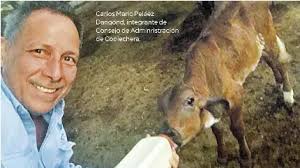 Construyendo la “Coolechera del III Milenio”