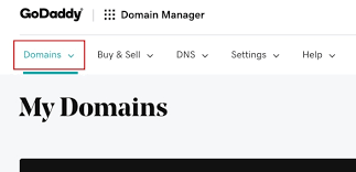 Accepting Domain Name Transfer To Your Godaddy Account Brandpa Buyers