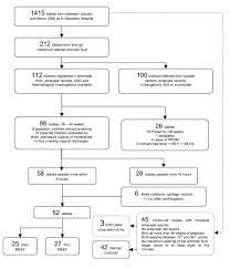 When do you test for meconium in cord tissue? Lactate Creatinine Ratio In Babies With Thin Meconium Staining Of Amniotic Fluid Bmc Pediatrics Full Text