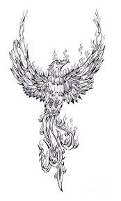 1,000+ vectors, stock photos & psd files. Pencil Phoenix Bird Drawing