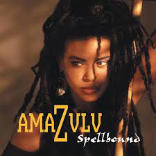 What is it like to be the lead singer of a band? Gone Digital Amazulu Marc Cohn Dweeb Get Cape Wear Cape Fly And Strange Cargo Rhino
