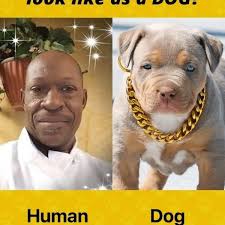 Norfolk, VA's 35th St: A hub for everything