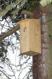 Modèles de nichoirs pour la chouette chevêche. Nichoirs Construction Dimensions