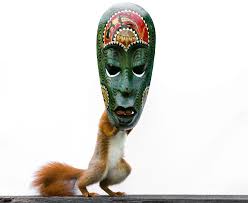 Repeat the same system, holding the box in your hand and waiting for the dog to. I Found Peace In Photographing Squirrels After I Survived The Rwandan Genocide War Bored Panda