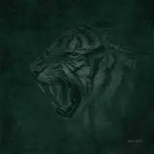 Kool savas amg feat alies prod supersonic. Kool Savas Alben Biografie Diskografie Releases Und Vieles Mehr