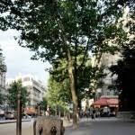 Streetart Baum Streetart Baum