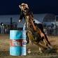 Broncs, Bulls, & Barrels Sept. 19th, 2026