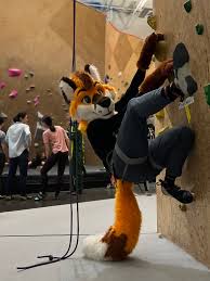 fwanky on X: "FURSUIT ROCK CLIMBING 🧗🏻‍♂️🦊 https://t.co/rQ2q921SlW" / X
