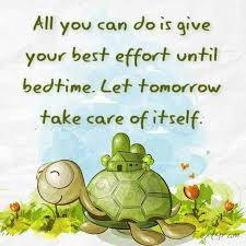 From The Book Happiness Now By Andrew Matthews Turtle Turtle Day Tortoise Turtle