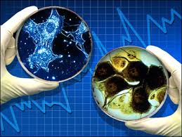 We did not find results for: Human Cells Animal Cells Cbs News