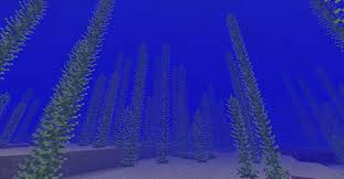 Biomes O Plenty Wiki Biome List Minecraft Wiki Kelp Toko Pedz