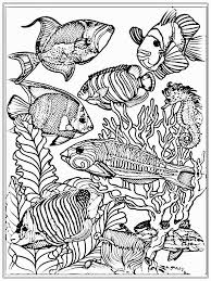 Catfish fish coloring page coloring page of fish image coloring page of fish images. Realistic Fish Coloring Pages For Adults Coloring Our World