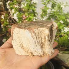 Here is what petrified wood looks like: Natural Petrified Wood Fossil Original Stone Raw Rock Crystal Quartz Mineral Specimen Healing Reiki Home Decor Stones Aliexpress