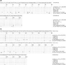Influenza a virus contains eight single stranded, negative sense rnas. False Positive Pcr Results Linked To Administration Of Seasonal Influenza Vaccine Microbiology Society