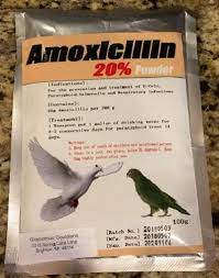 Amoxicillin 20 Bird Medicine Finch Supplies Canary Supplies Gouldian Finch Supplies Amoxicillin Medicine Bird
