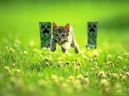 Hd Wallpaper Kitten Jumping On Green Grass Photography Brown Tabby Kitten Chased By Two Minecraft Creepers At Flower Field Wallpaper Flare Minecraft flowers generate on dirt or grass block in any biome. hd wallpaper kitten jumping on green