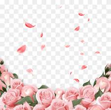 We did not find results for: Pink Flower Png Images Pngwing