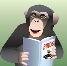 We did not find results for: Animal Facts For Kids Endangered Animals